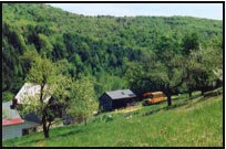 Cranberry Hill Farm